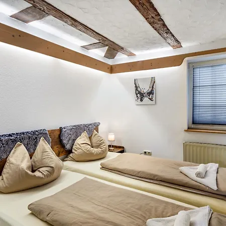 Appartement Im Fachwerk à Alsfeld Extérieur photo